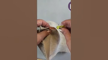 Provence Style Geese full tutorial 👆🏻🪿✨ | How to Sew Decorative Geese | Sewing Tutorial – Part 1