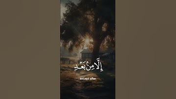 قرآن كريم 🤍🌹 راحة نفسية وسكينة #اكسبلور #لايك #يارب