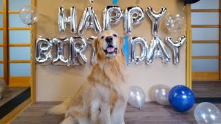 【7歳】ジョイさんお誕生日おめでとうライブ配信!