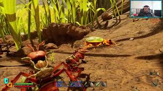 Ep.10 - Hunting Bugs and crafting gear (Grounded 2)