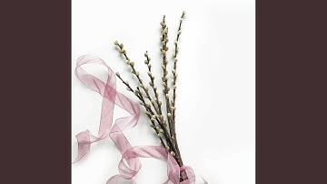 Chilled Backdrops for Best Harmonies