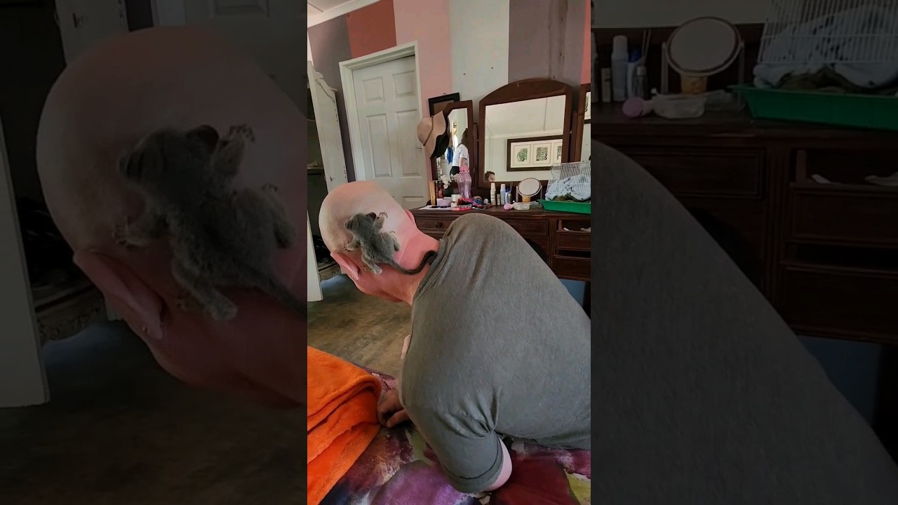 You know what animal I'm playing with? 