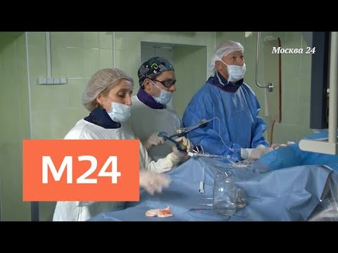 "Специальный репортаж": "Живой организм" - Москва 24