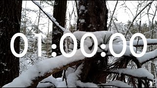 1 Hour Winter Forest Timer for Classroom, Meditation and Stress Relief