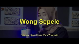 story wa Wong Sepele - Ndarboy Genk (cover Woro Widowati)