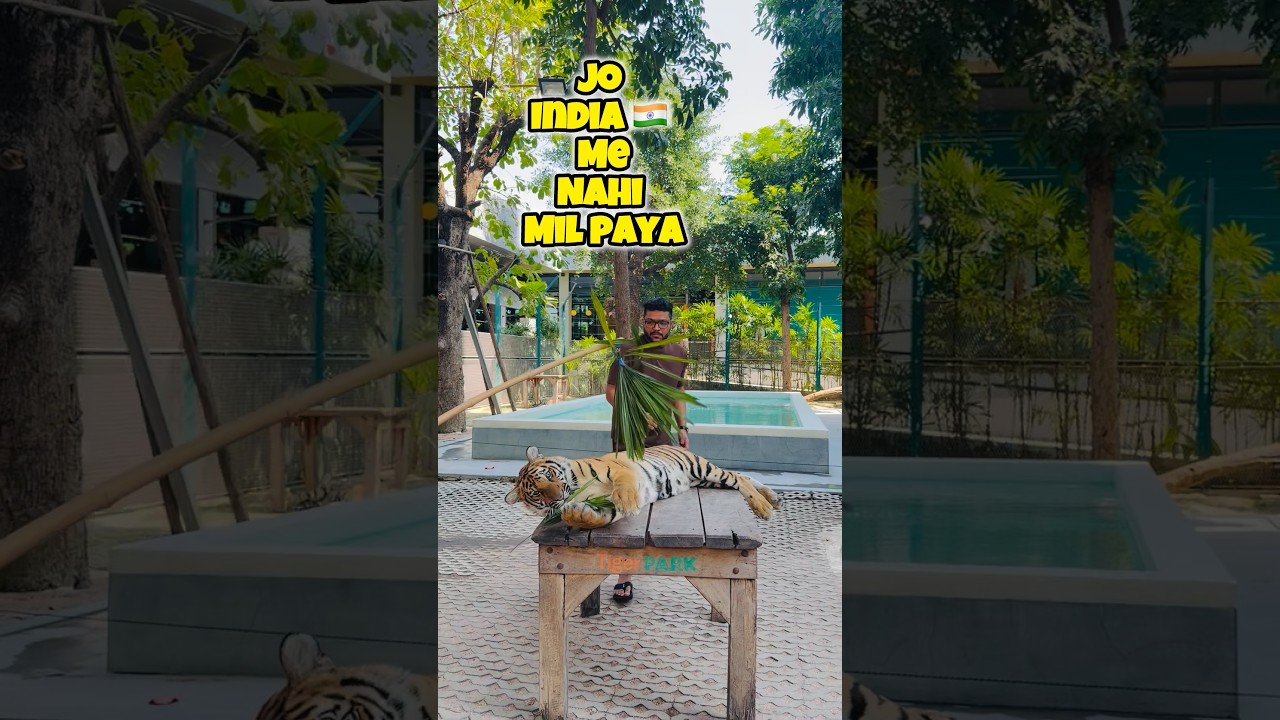 Aisa experience INDIA me nahi mil paata 