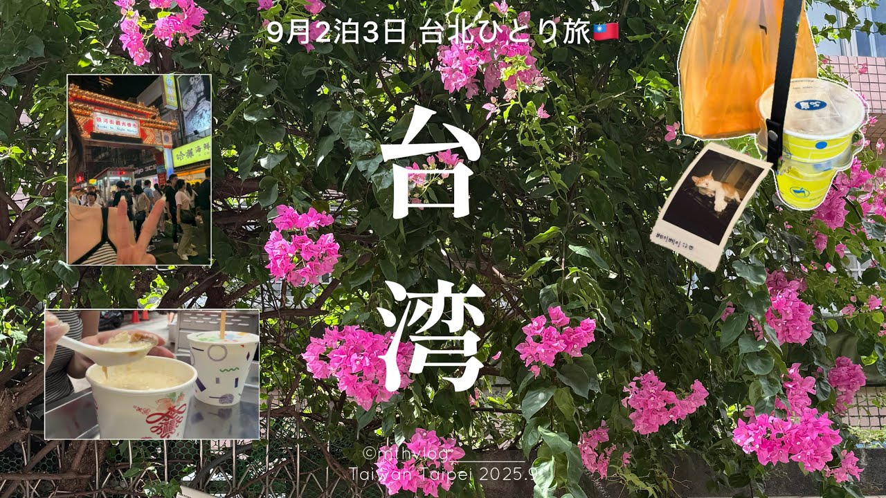 【 Taiwan vlog 】2泊3日台湾 台北ひとり旅🇹🇼① | 永康街さんぽ🌿 | 饒河街觀光夜市 | 西門町ホテル