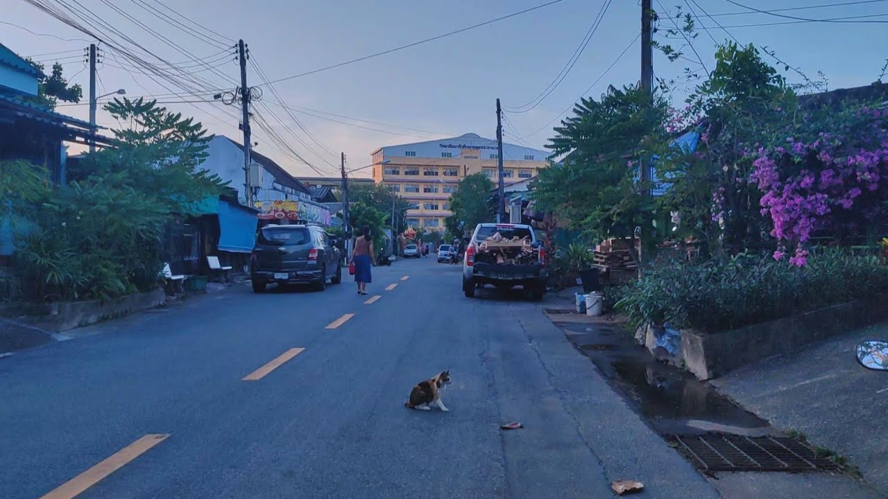 Quiet Walk in My Neighborhood, Thailand · Daily Quiet · learning to walk with the evening light