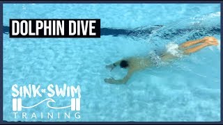 DOLPHIN DIVE