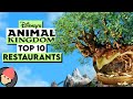 TOP 10 BEST RESTAURANTS AT DISNEY'S ANIMAL KINGDOM