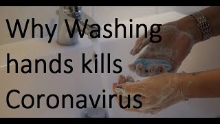 Why Washing hands kills Coronavirus