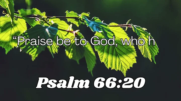 Verse of the Day - 21st December, 2025 #bible #verse #verseoftheday #jesus #god #christ #jesuschrist