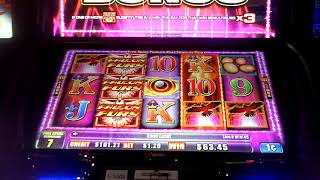 Falcon Fury Slot Machine Bonus