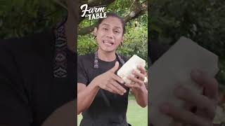 What Is The Ubod Of A Coconut? Farm To Table