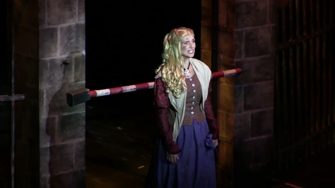 I dreamed a dream (Czech version) Knížka snů, Monika Sommerová