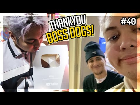Thankyou, BOSS DOGS! / Daily Vlog .40