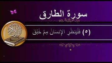 سورة الطارق | آية (1)        -  آية (17)