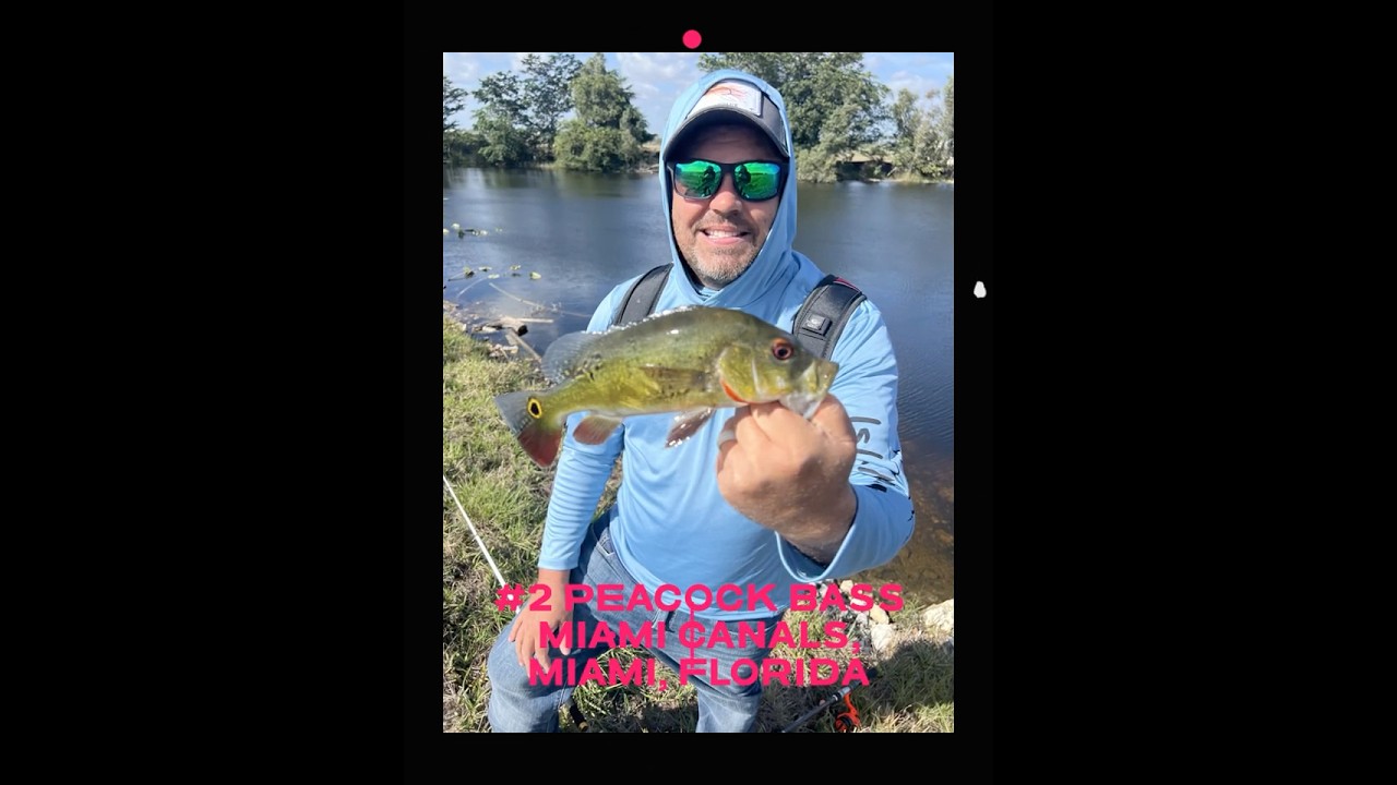 Best fish catches of the year 2024 