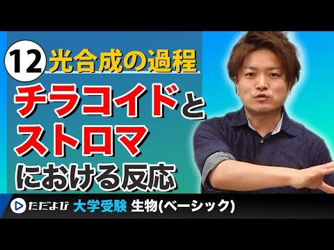 生物】全講座 - YouTube