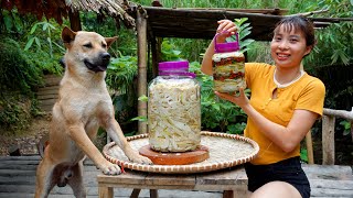 Harvest and store long term chili bamboo shoots, Fish, Ginger steamed chicken - Ana Bushcraft