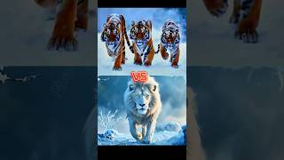 Team Tigers Vs Wild Animals Lion, Polar Bear, Gorilla