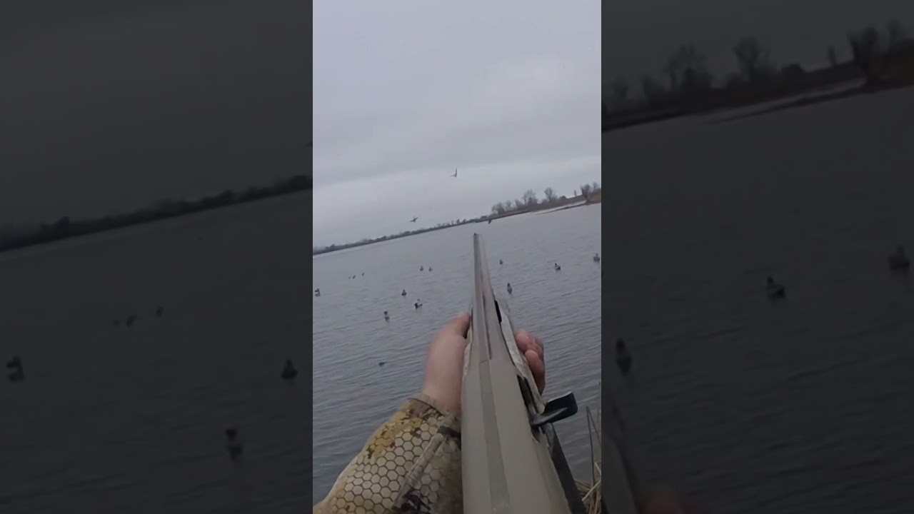 Washington duck hunting 