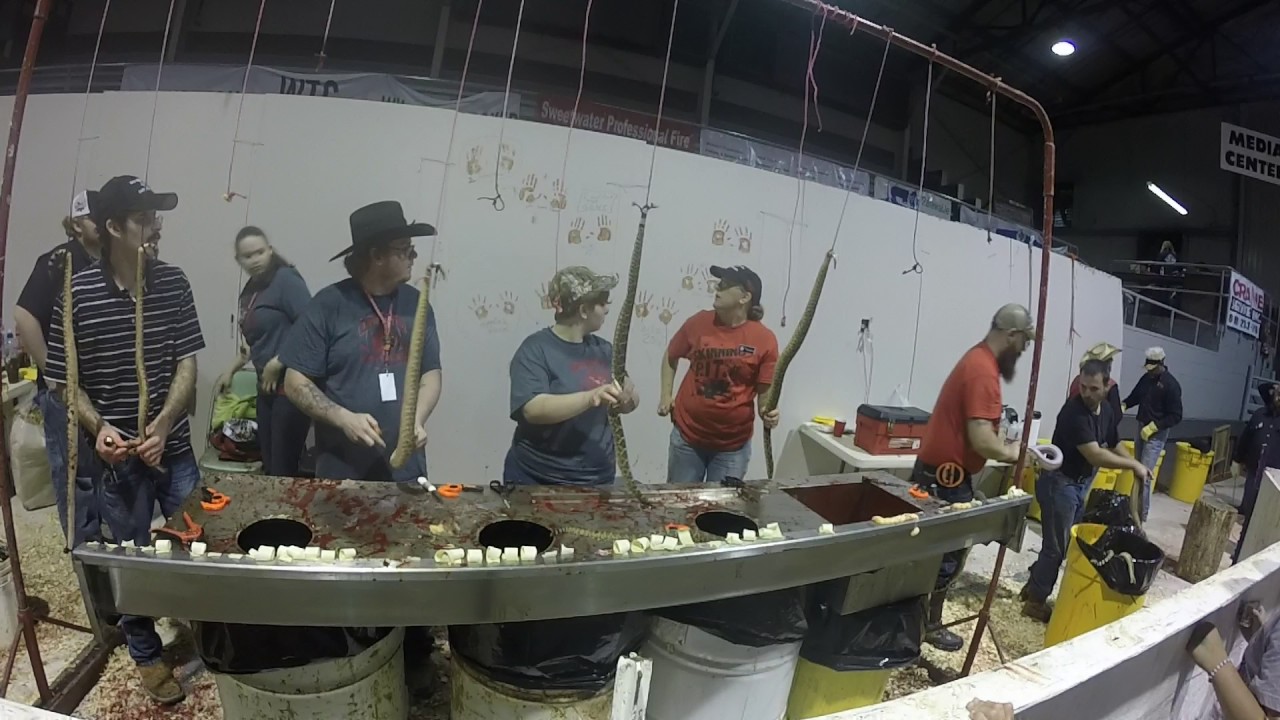Sweetwater Texas 2016 Rattlesnake Round Up YouTube