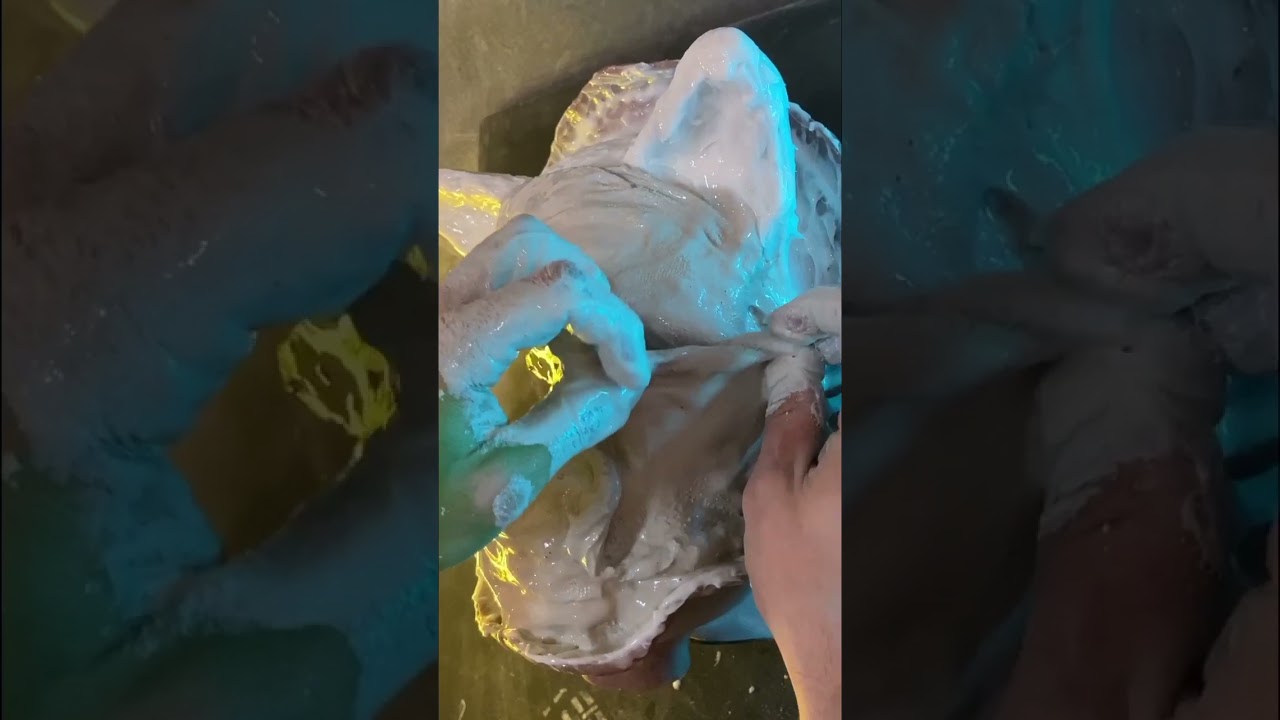 The process of molding a silicone mold for a cat skull mask. 