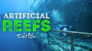 What are Artificial Reefs? | Salt Life