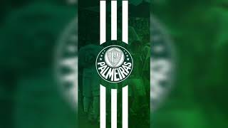 Musica Mc Ruzika Olé Porco, Palmeiras Para Todos Palmeirense