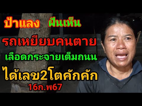 ผลสลากกินแบ่งรัฐบาล วันที่ 1 พย. 2567