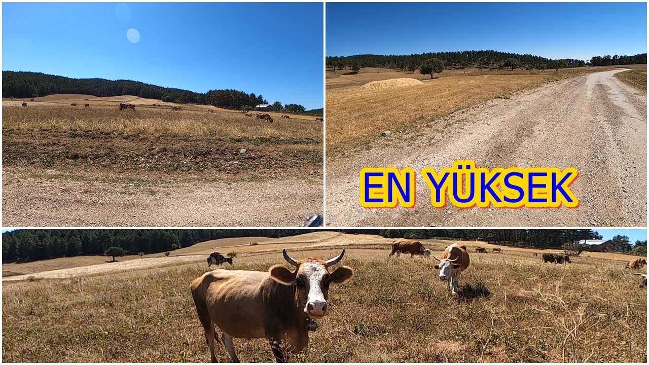 BAYAT KARTEPE YAYLASI/ ÇORUM