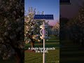 A Gentle Way to Protect Your Farm — Solar-Powered Insect Zapper