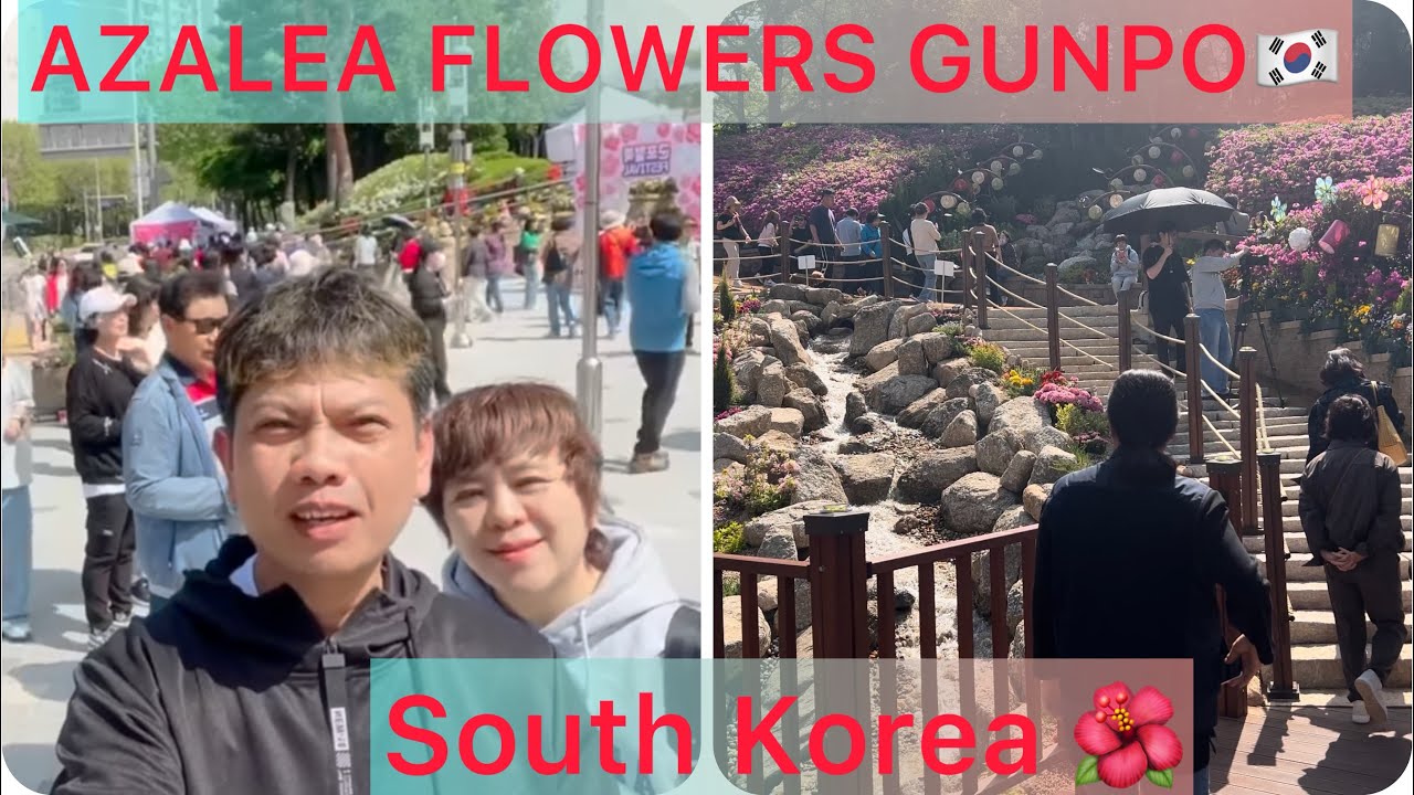 Royal Azalea Hills Gunpo South Korea