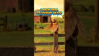 Misteri Lantai Penuh Sayap: Kenapa Laron "Mutilasi" Dirinya Sendiri? 😱🦟