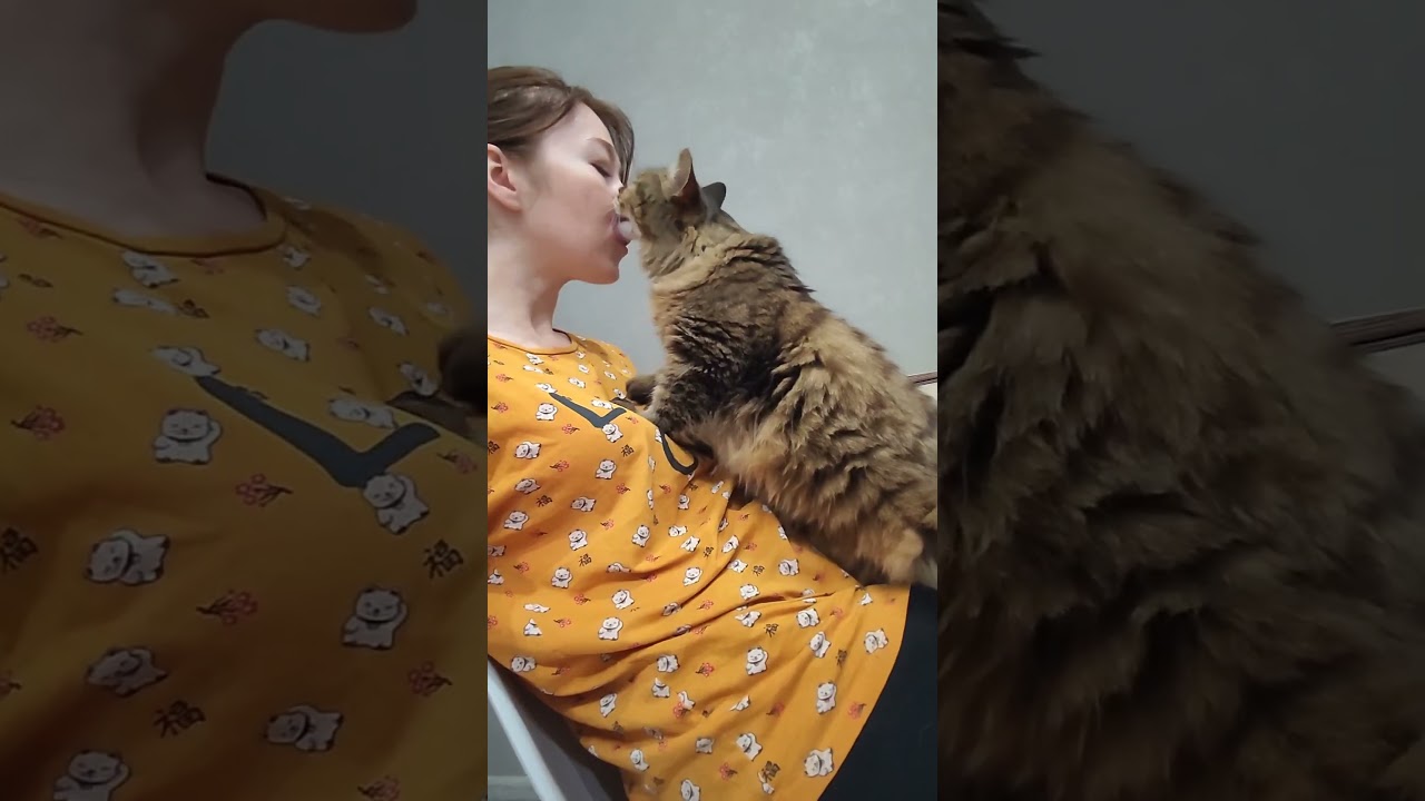 Знакомьтесь: мой милый котик Арсений😇❤ 