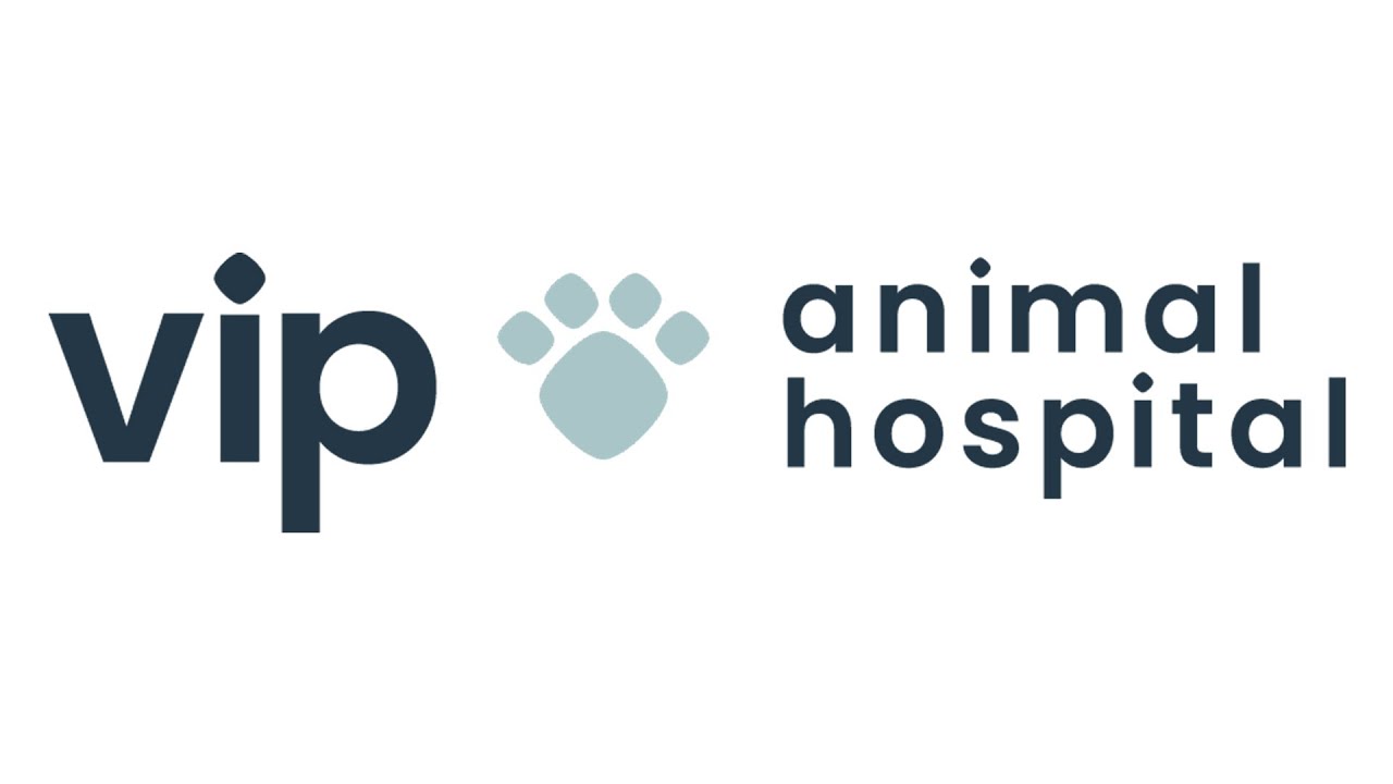 VIP Animal Hospital YouTube