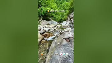 أواخر سورة الفرقان من تراويح هذا العام بمسجد الأنصار بحي المرجة "براقي "نسأل الله الإخلاص والقبول 🧡