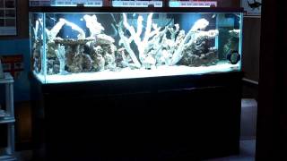 180 Gallon Reef Tank Build: part 1