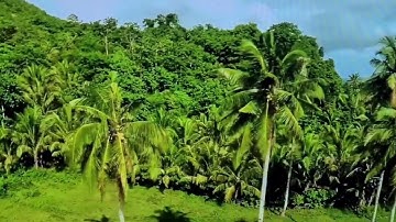 الحزب 24 سوره يوسف من الايه 22 الى الايه 32 بروايه الامام ورش عن نافع@