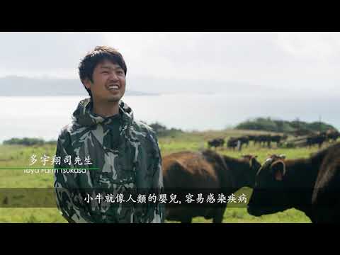 日本和牛養成過程--16分鐘影片