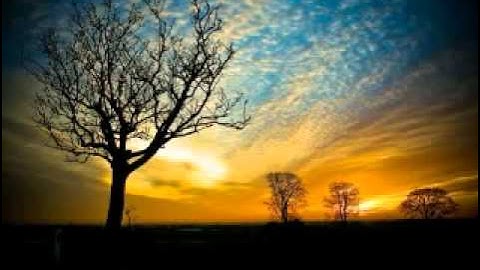 اجمل تلاوة للشيخ الصغير محمد البراك سورة الحآقة