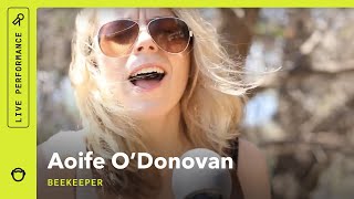 Aoife O'Donovan, "Beekeeper": Stripped Down (Live)