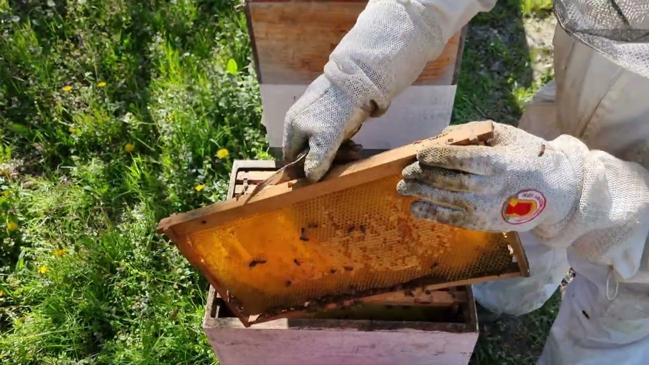 DESETI DAN.12.04.2023