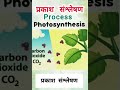 👉 Photosynthesis Process Explained in Hindi | प्रकाश संश्लेषण की सरल व्याख्या छात्रों के लिए