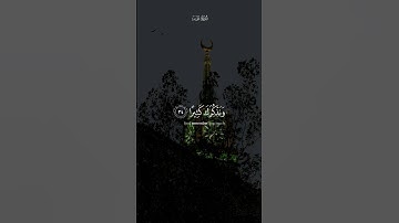 قال ربي اشرح لي صدري | القارئ محمد ايوب