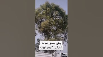 اجمل صوت ف القران الكريم❤#ليبيا