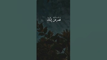 {وَإِذْ قَالَ إِبْرَاهِيمُ رَبِّ أَرِنِي} سورة البقرة{260}| للقارئ: عبدالله شعبان #سورة_البقرة #قرآن