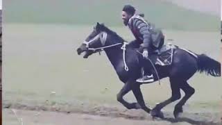 Şivan Perwer - Dılo Yeman_Gani Şavata Resimi