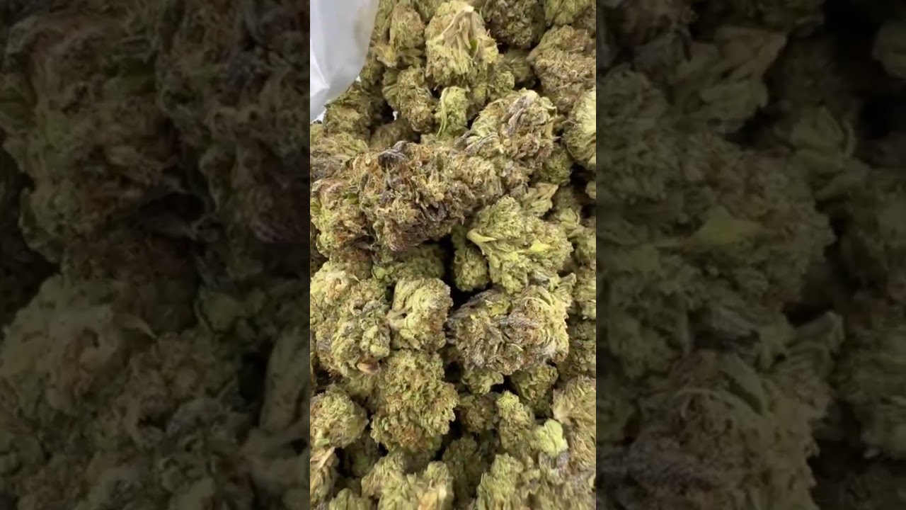 dime bag Darrell, lemon cherry gelato